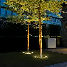 Solar LED garden spotlight uplight on a slender tree with warm glow from circular base