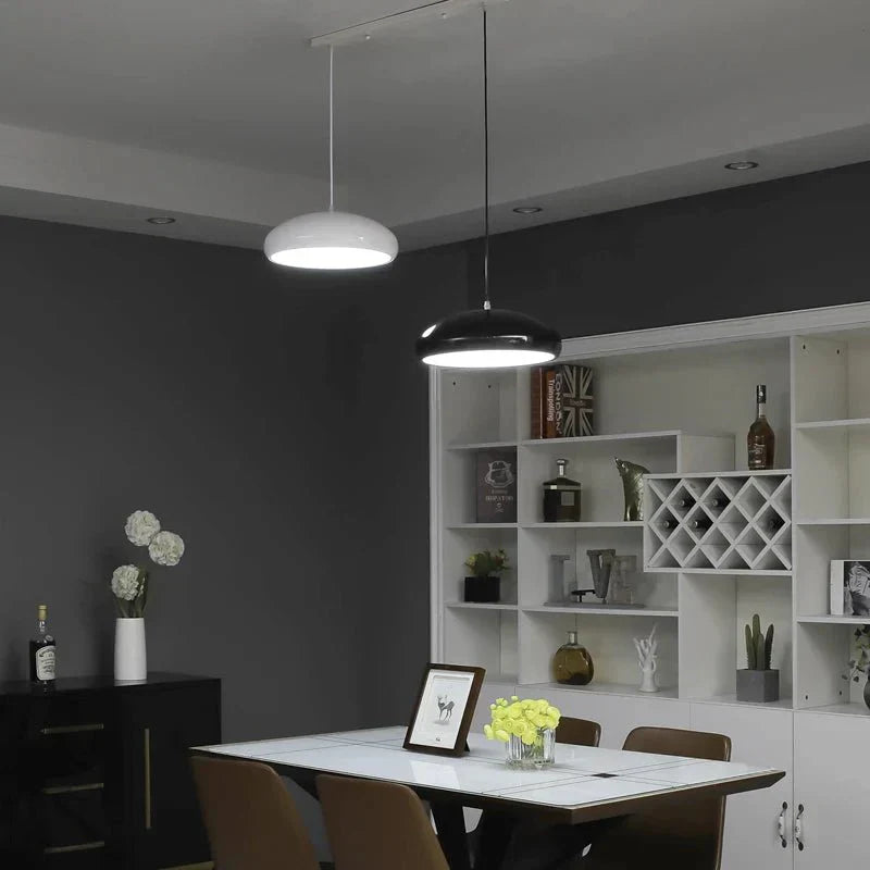 Modern metal and acrylic pendant light with black round metal shade