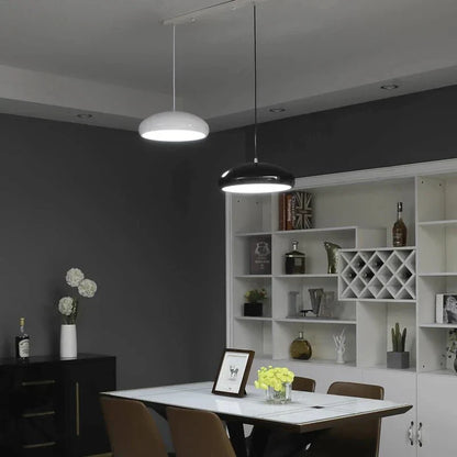 Modern metal and acrylic pendant light with black round metal shade