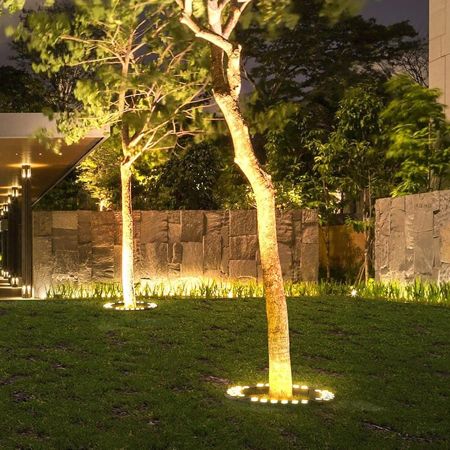 Solar LED garden spotlight uplight on a tall tree with warm glow from round base