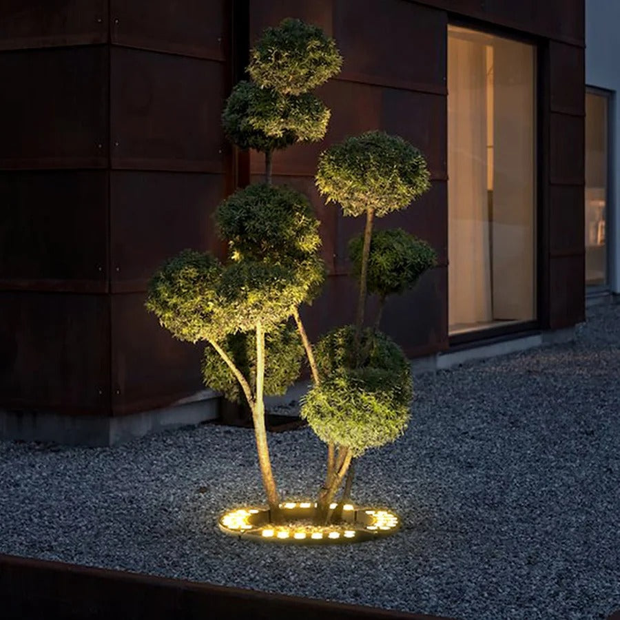 Solar LED garden spotlight uplight on small tree with warm light from round base on gravel