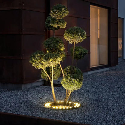 Solar LED garden spotlight uplight on small tree with warm light from round base on gravel