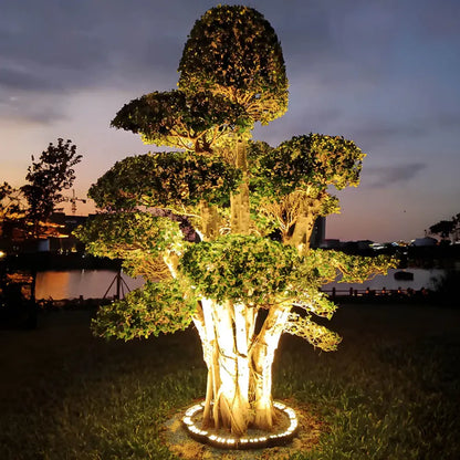 Solar LED garden spotlight uplight on multi-branch tree with warm light from circular base