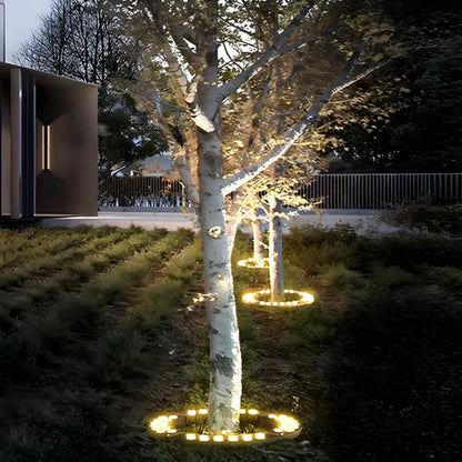 Solar LED garden spotlight uplighting birch trees with warm light from round bases