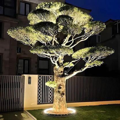 Solar LED garden spotlight uplight on large tree canopy with warm glow from round base