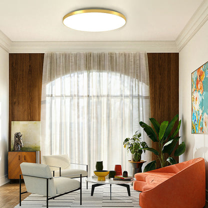 Round flat LED ceiling light with white acrylic center and gold-tone outer ring.