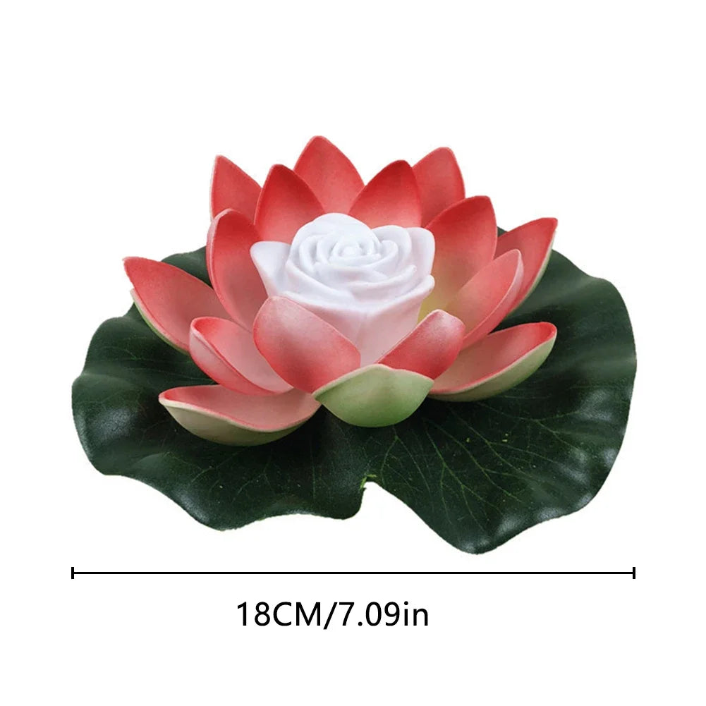 Red and pink floating lotus pond light with white center rose on dark green leaves